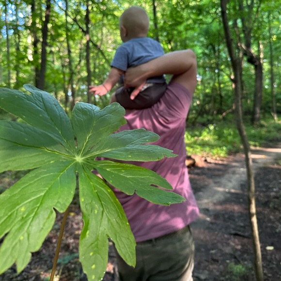 Artie’s Attic ☀️ - Picture 1 of 1